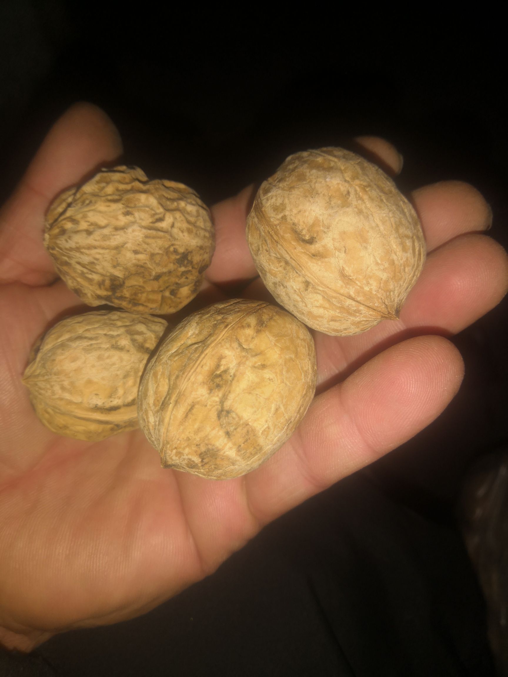 核桃，新疆185纸皮核桃无任何加工的