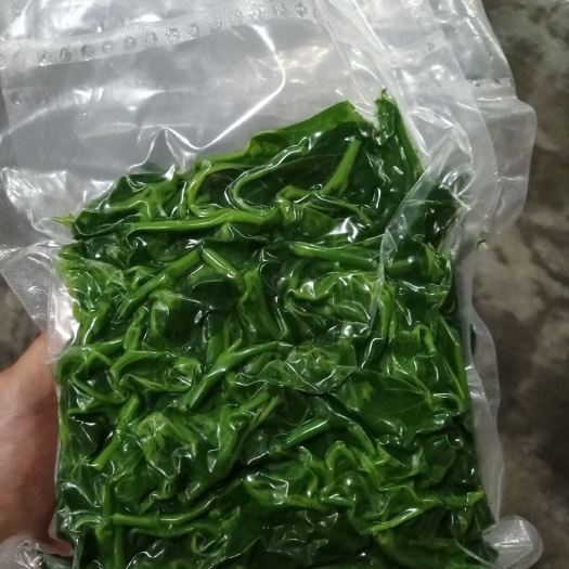 佛山桑叶，蚕蛹，芋梗，南瓜苗