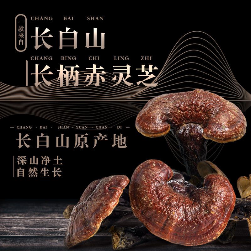 赤灵芝  吉林长白山自然生长灵芝正品炖鸡泡酒一斤包邮到家，一分钱一分货