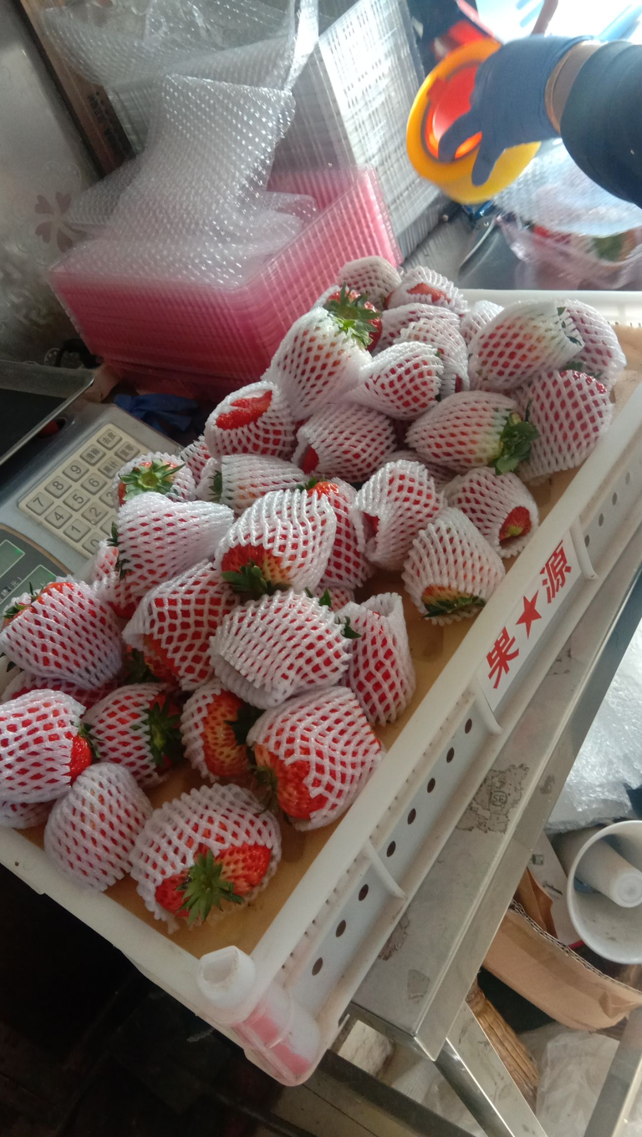 爱莎草莓 特级果