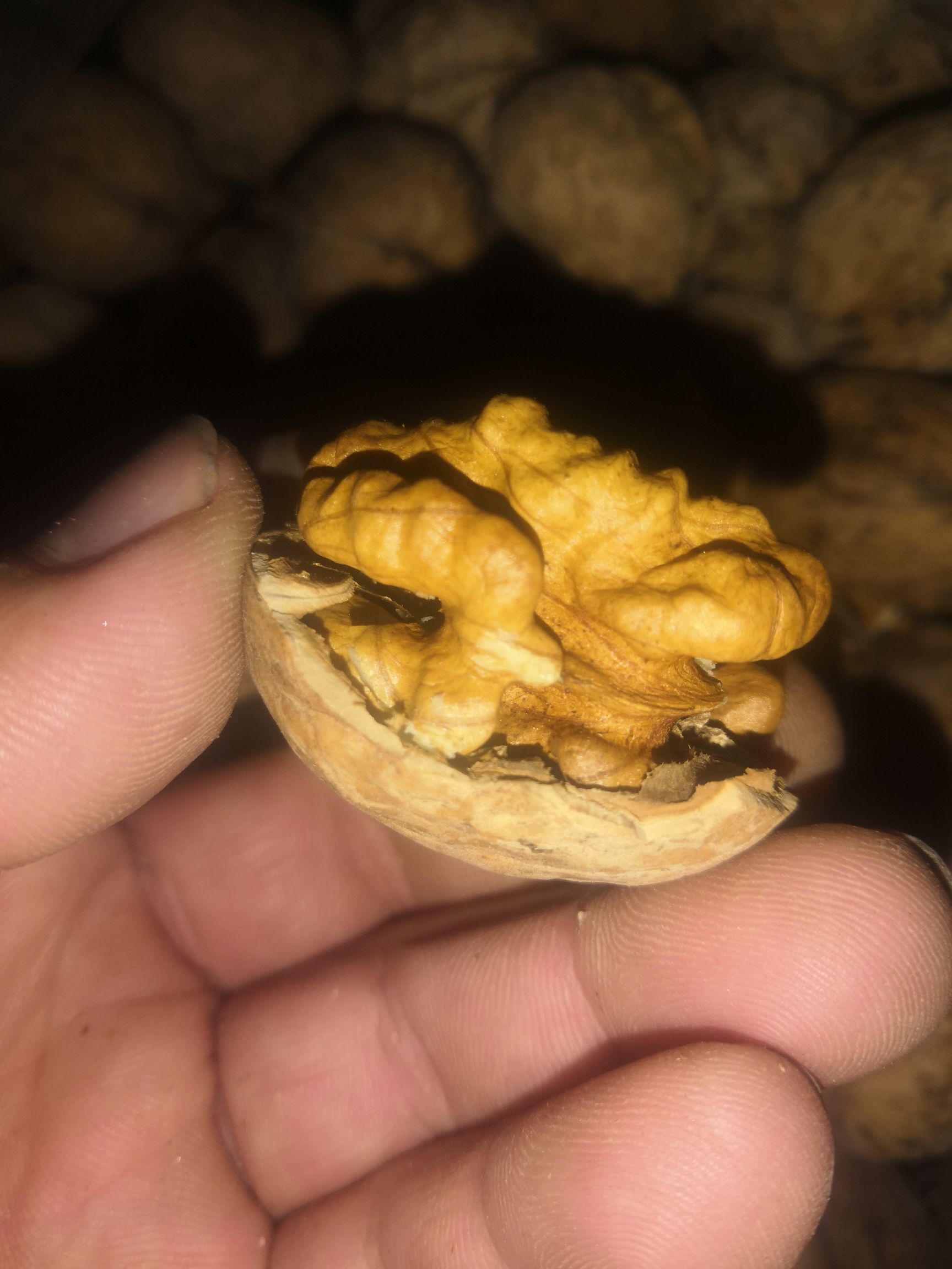 核桃，新疆185纸皮核桃无任何加工的