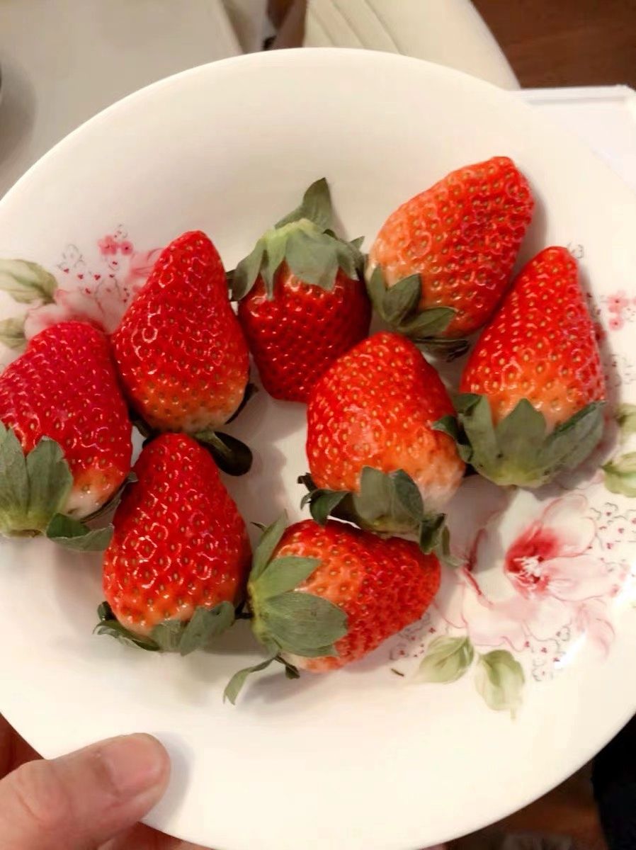 德昌草莓  四川凉山德昌冬季早市草莓供应到明年5月份露天阳光甜草莓