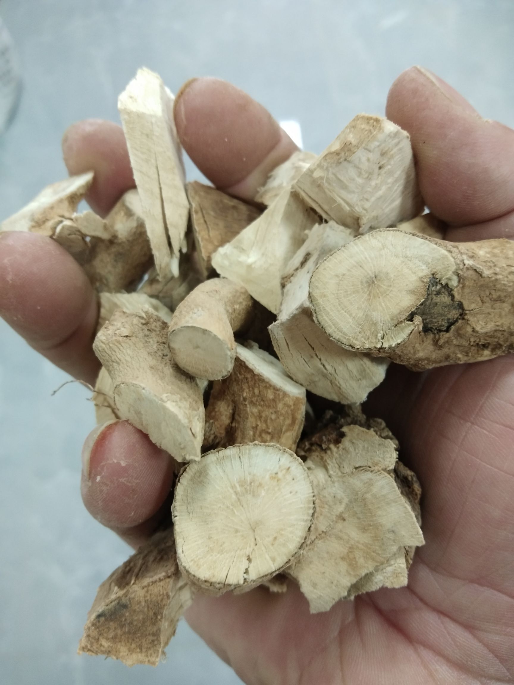 岗梅根，干货纯根，广东老农夫深山林下釆挖，不是人工种植