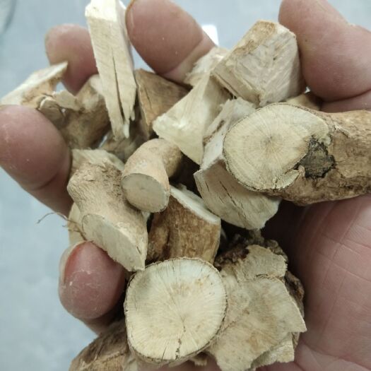 高州市岗梅根，干货纯根，广东老农夫深山林下釆挖，不是人工种植