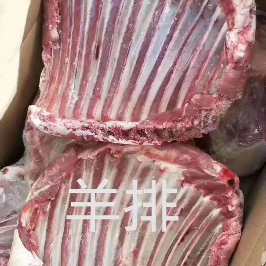 锡林浩特内蒙古牧民放养羔羊肉 羊排 羊腿