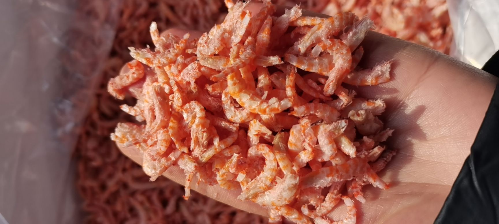 深海去壳虾仁 小虾米 跑江湖地摊热卖 虾仁批发