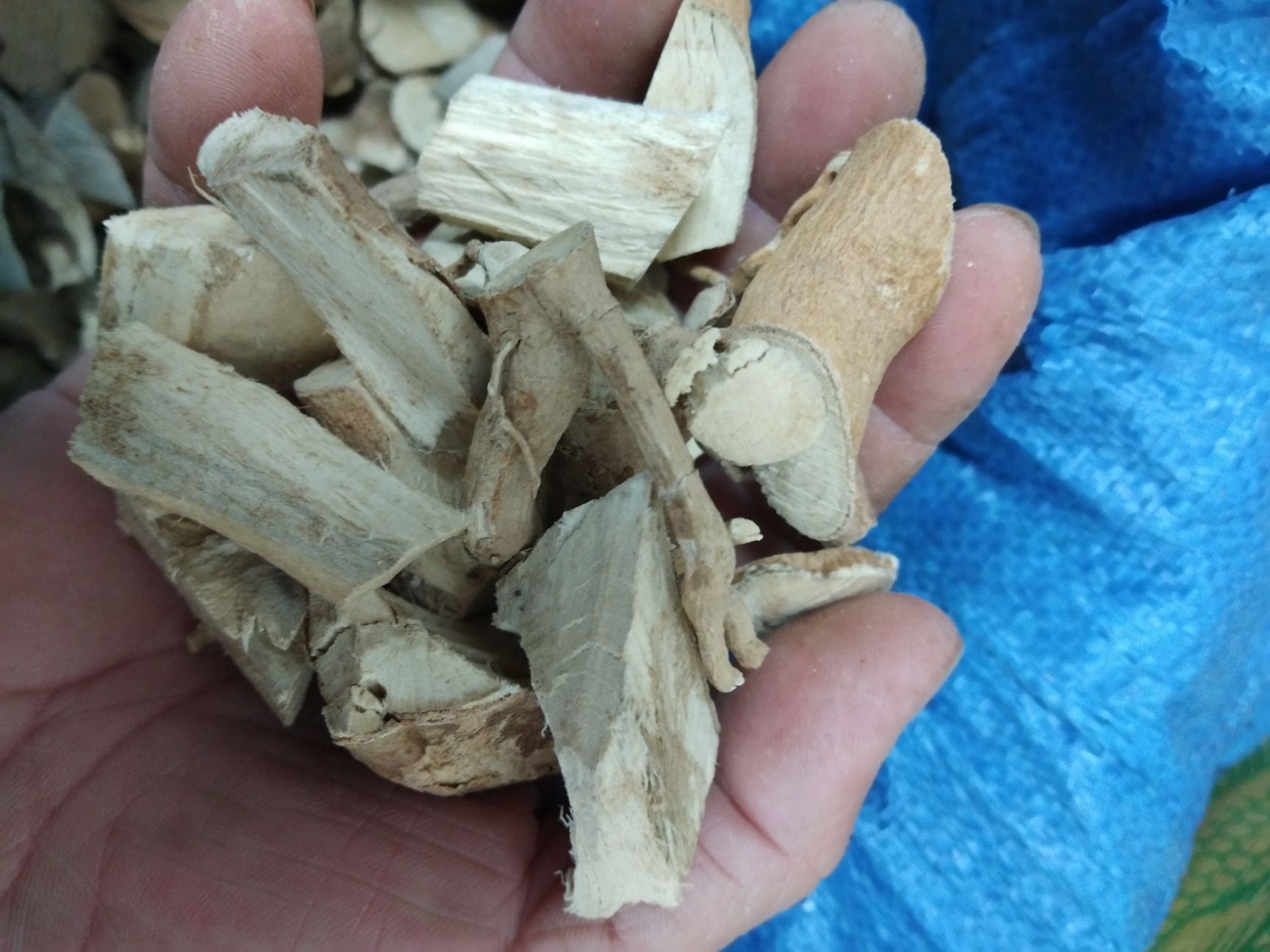 岗梅根，干货纯根，广东老农夫深山林下釆挖，不是人工种植