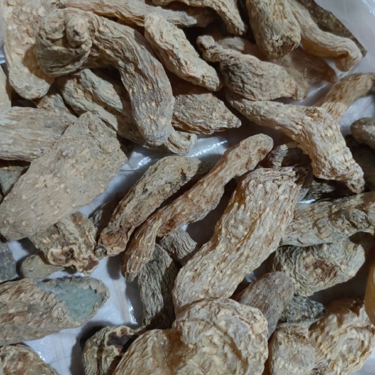 北川县乌天麻