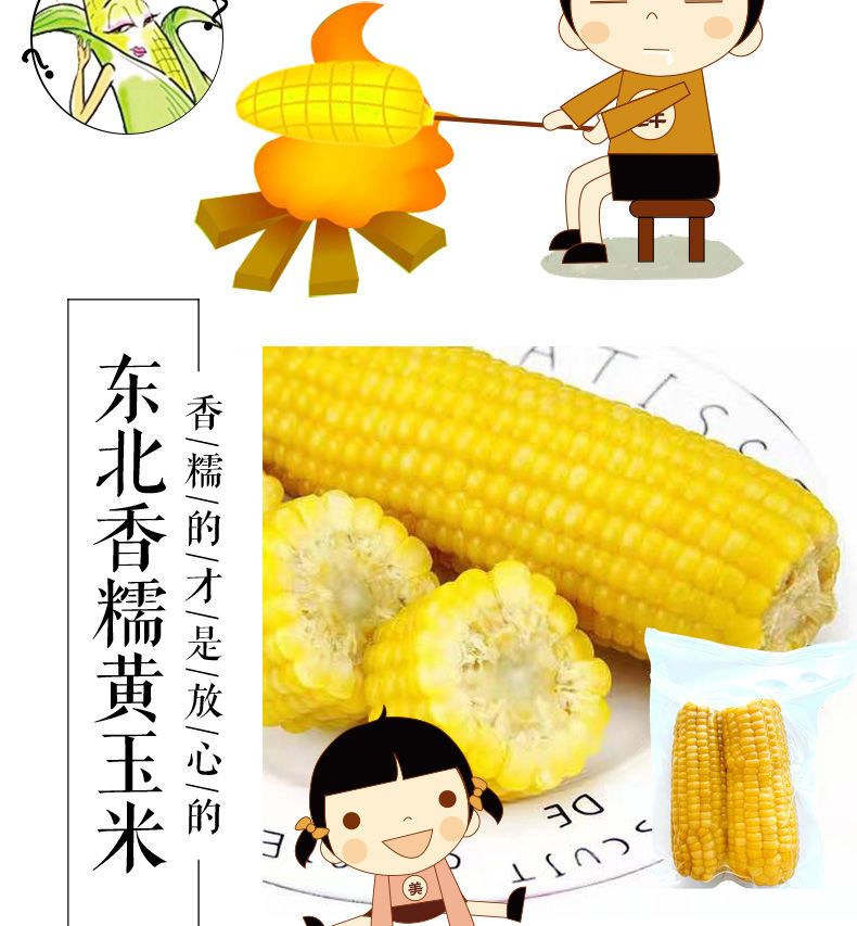 甜玉米  甜糯玉米棒玉米东北黏粘玉米2022真空袋装非转基因
