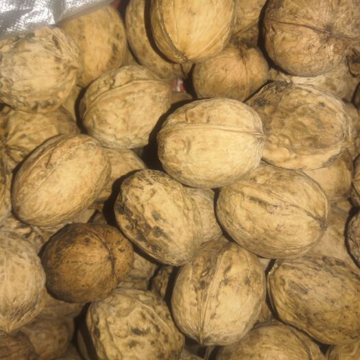 昆玉市核桃，新疆185纸皮核桃无任何加工的