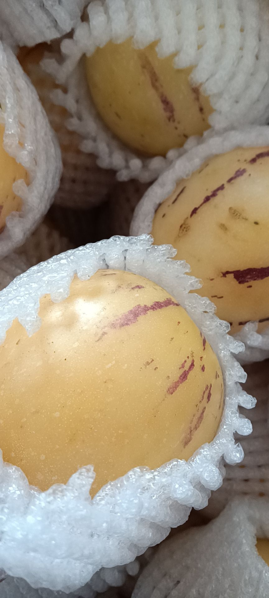 石林人叁果 五斤礼盒装，人参果中果，一件代发，支持电商平台批货