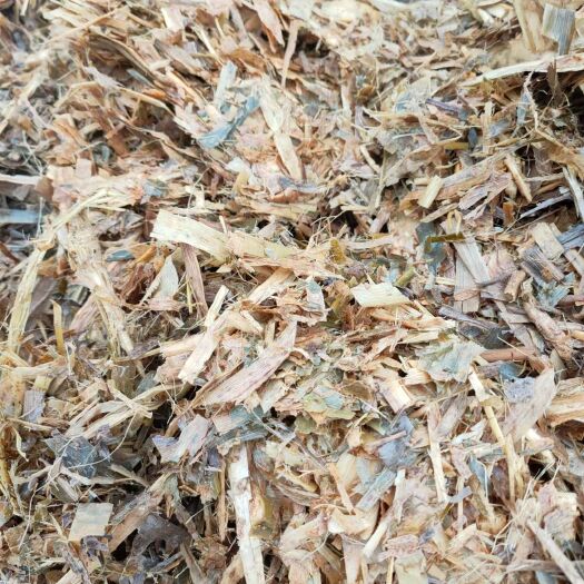 夏邑县青贮饲料  青贮类饲料  精品黄贮，适用于各大牧场需求