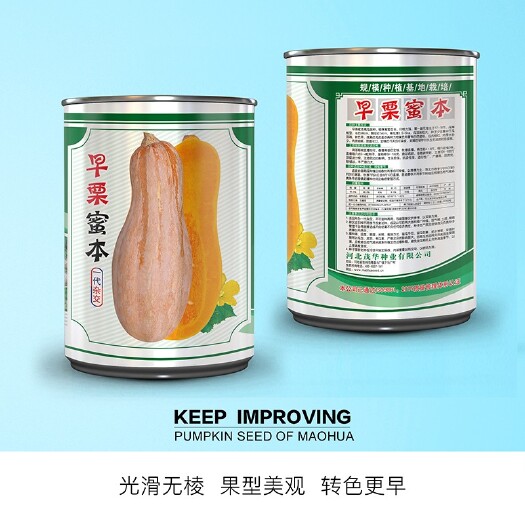 夏邑县早栗蜜本南瓜种子，甜面可口，瓜型美观，产量高果肉金黄