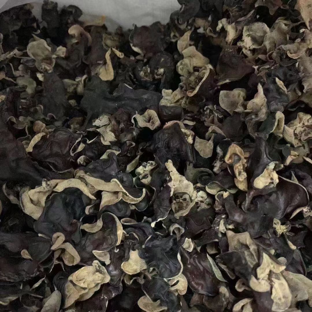 东北黑木耳  木耳，东北木耳，毛木耳，江湖地摊，展销会销售火