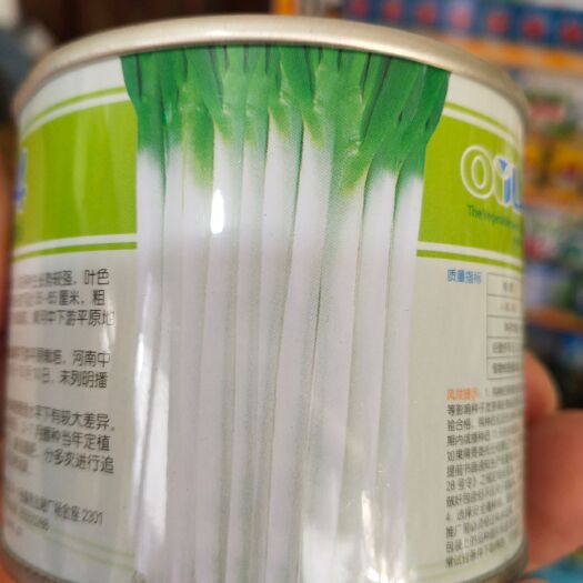 日钢葱种子  钢葱川岛504 葱白紧实茎叶粗壮不空心葱