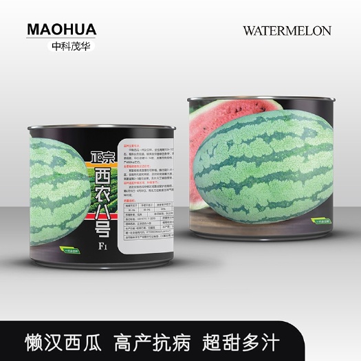 夏邑县正宗西农八号西瓜种子，中早熟，大果型，耐高温抗高湿，红壤超甜