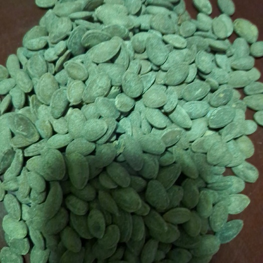 庐江县奶油瓜子  9号瓜篓子