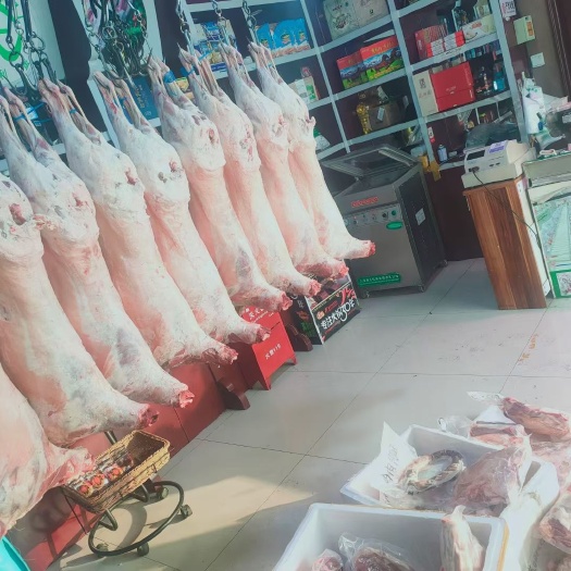 乌鲁木齐羊肉类  绵羊肉 新疆哈萨克羊 羊肉 新鲜纯新疆羊肉 好吃有营养不油腻