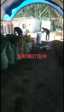 大量供应蚯蚓粪一一有机肥 ！