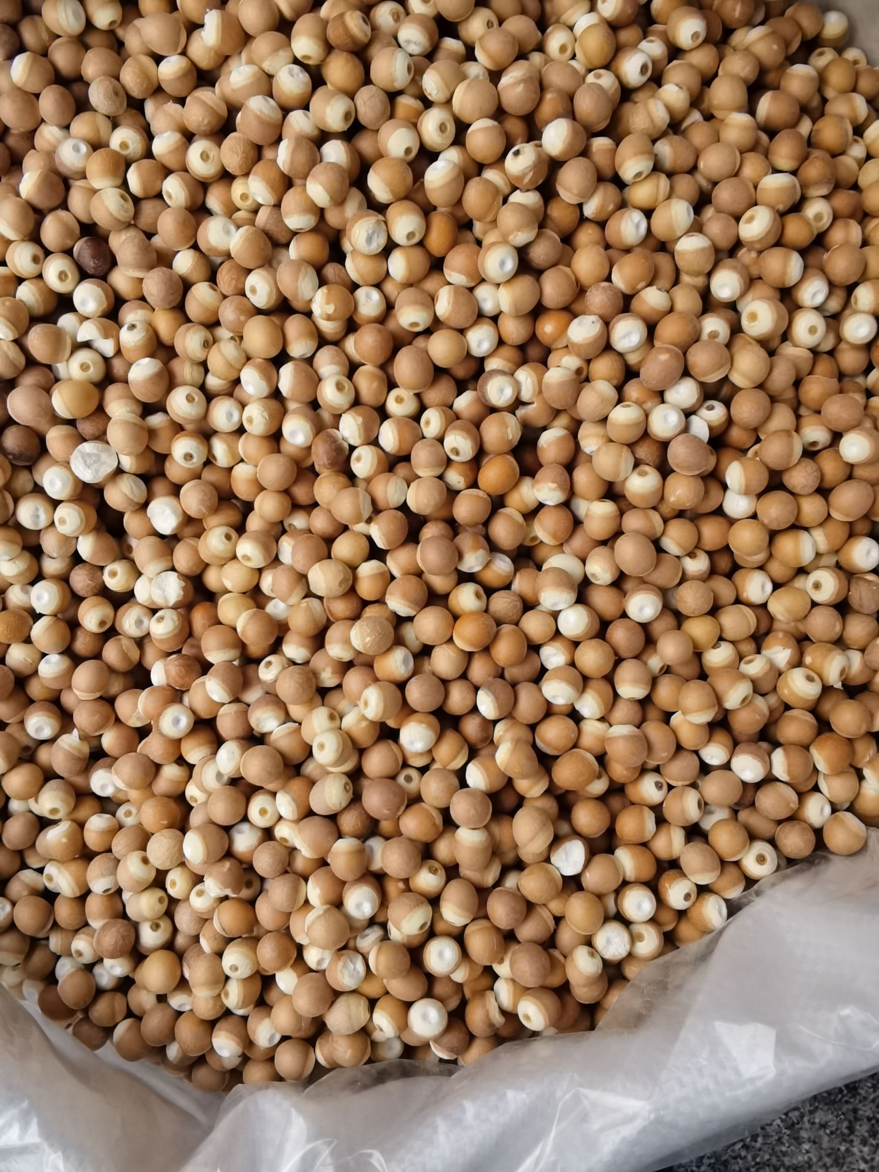 芡实  2025年新货！规格齐全，圆粒开半都有