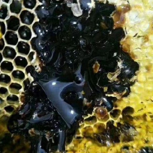 瑞丽市黑蜂蜜  一手货源供应高山黑蜂蜜