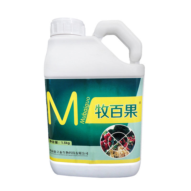 冲施肥 生根剂促进生根