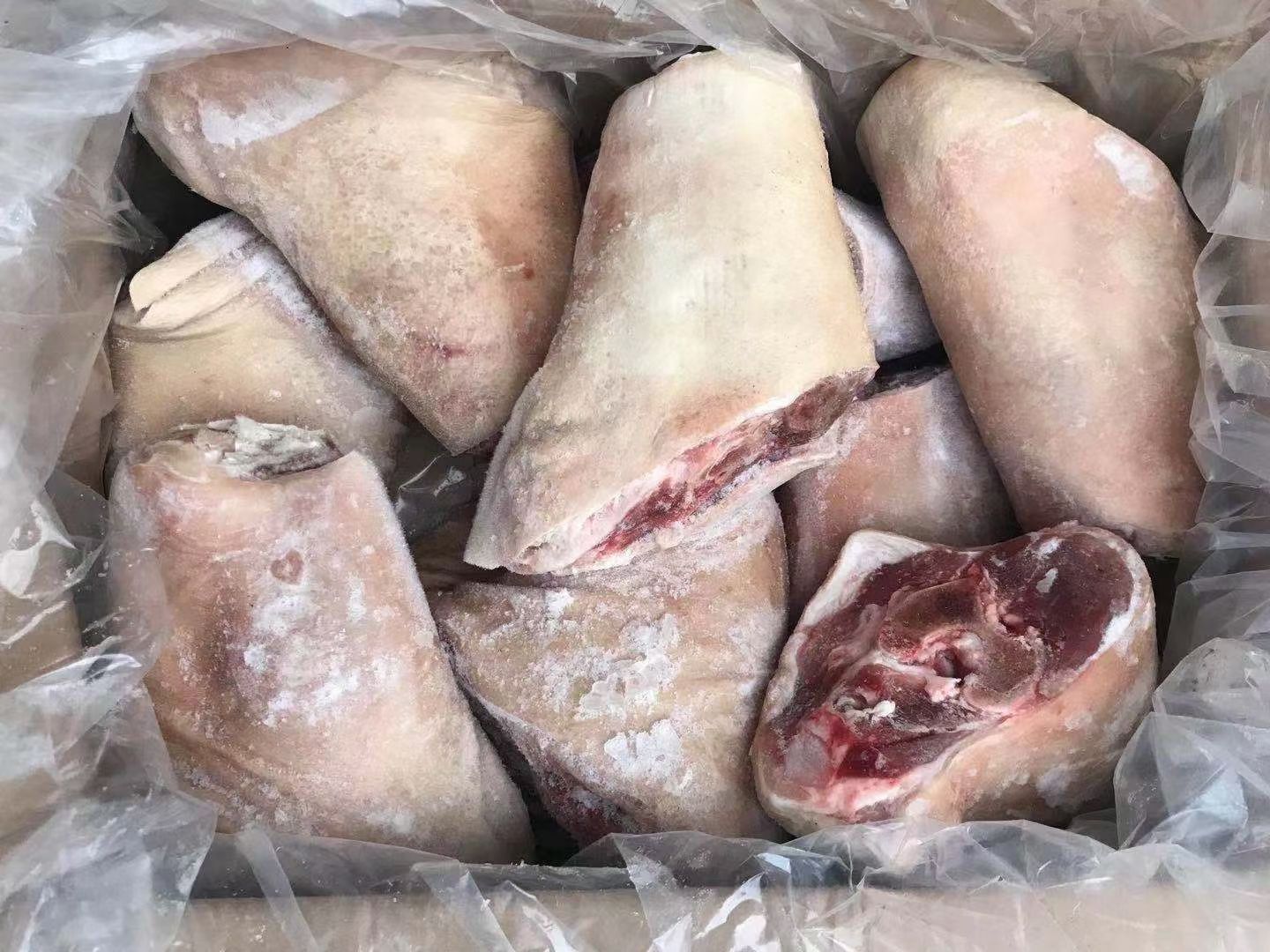 猪肘子，前肘猪前肘子猪肘子