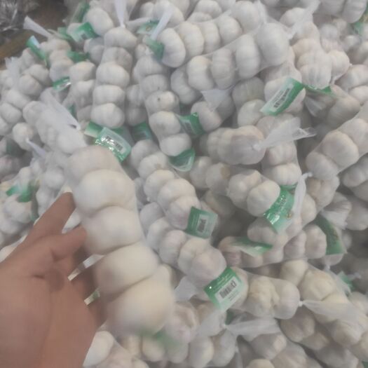 金乡县精品大蒜 250克一包，1.6元一包，社区团购，产地直发