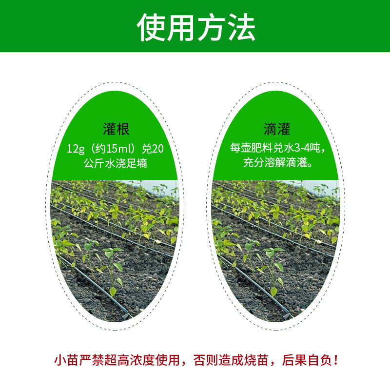 冲施肥 生根剂促进生根