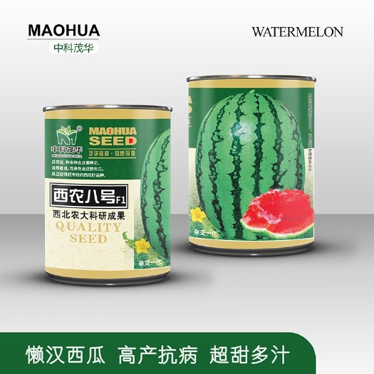 夏邑县西农八号懒汉西瓜种子，西北农大科研，中早熟大果型，抗病性强