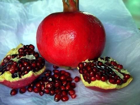 黑籽石榴树苗 嫁接苗