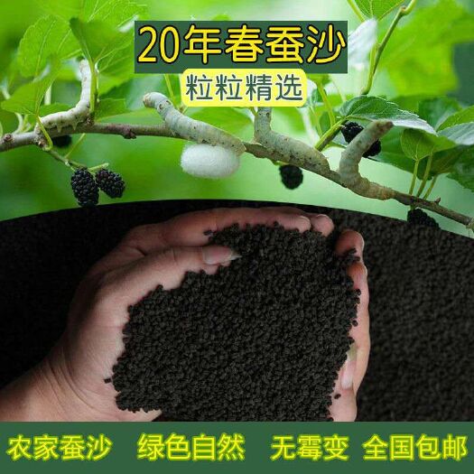 砚山县蚕沙肥  云南文山砚山蚕农产未提起绿叶素当季优质蚕沙