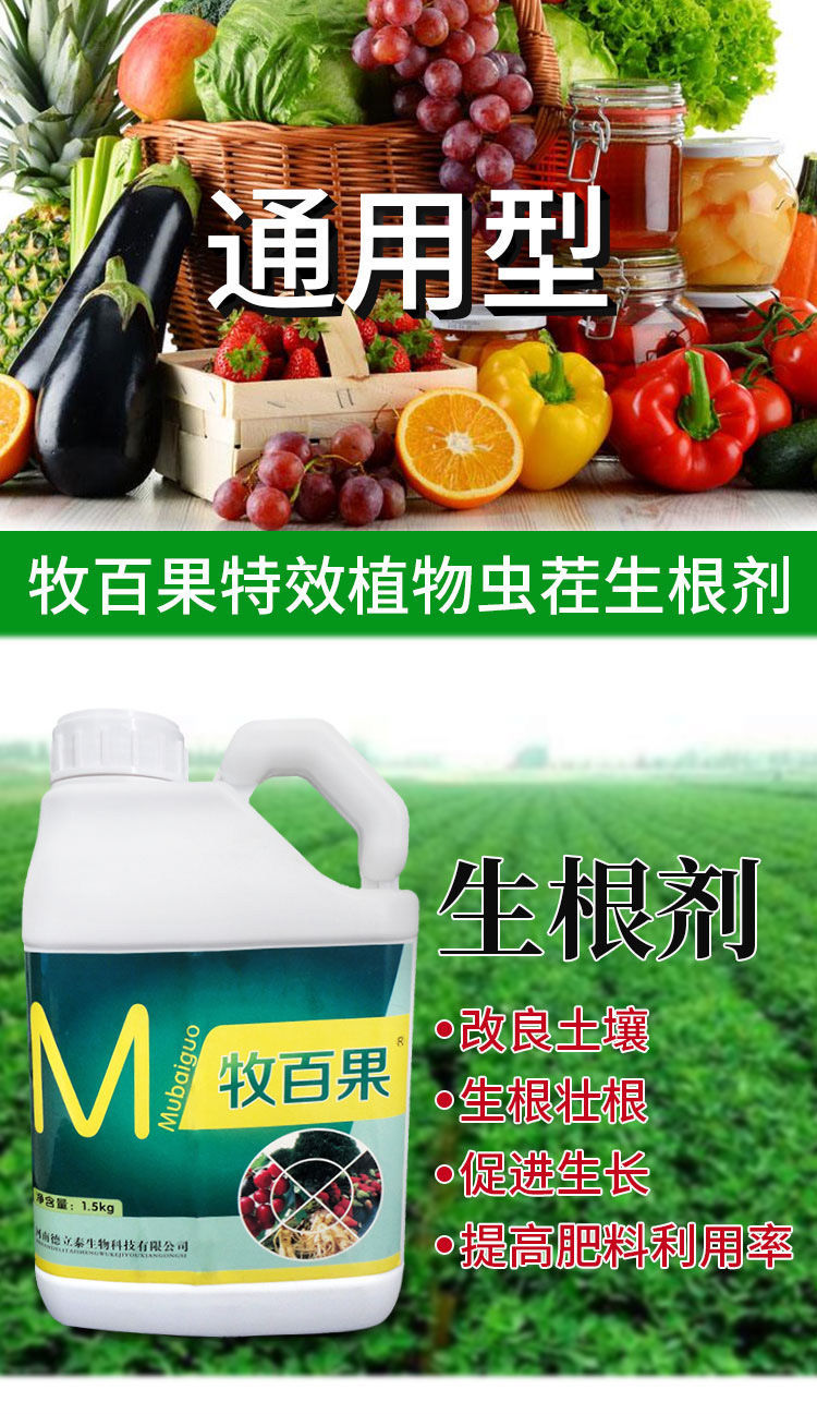 冲施肥 生根剂促进生根