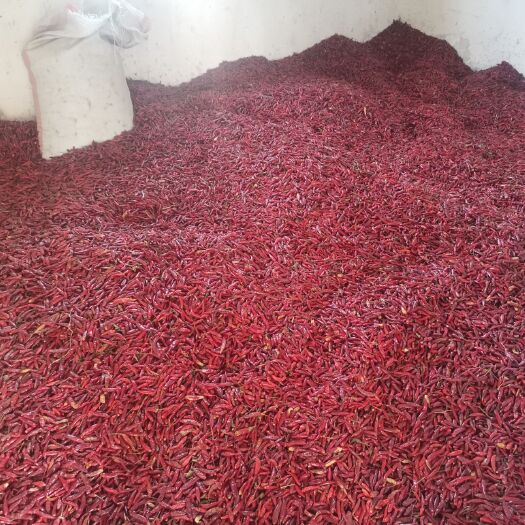 南阳椒中王朝天椒  产品优良，性能好，辣度强，味道好