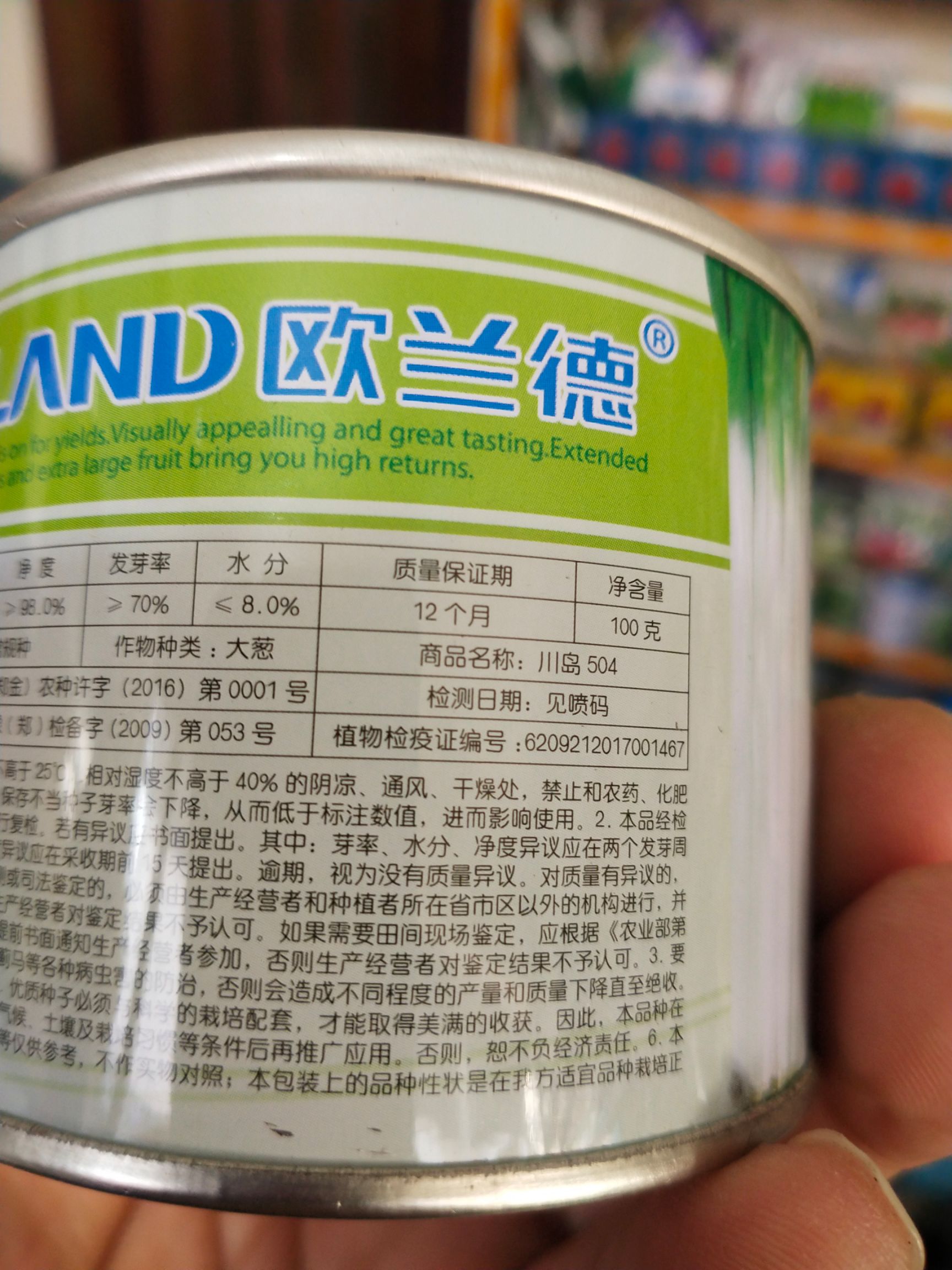 日钢葱种子  钢葱川岛504 葱白紧实茎叶粗壮不空心葱