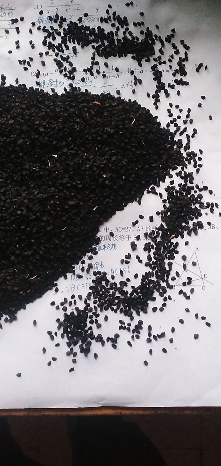  山东章丘大葱种子。