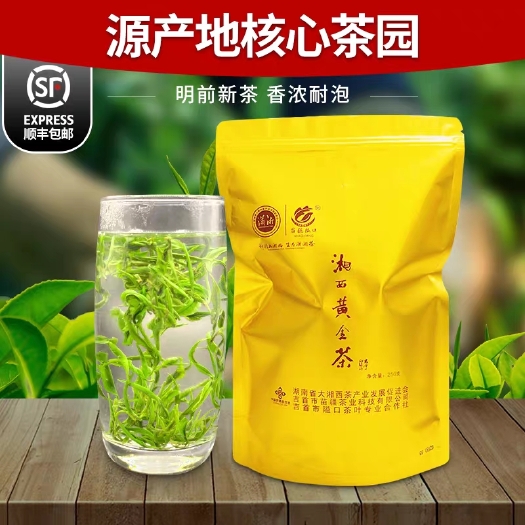 吉首市苗疆隘口湘西黄金茶明前一级高山绿茶250g袋装21年新茶