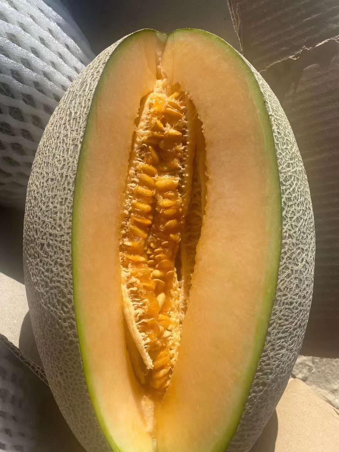 白兰瓜 一级