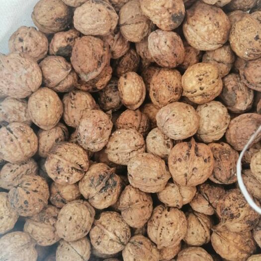 宣威市云南核桃 云南老树薄皮核桃