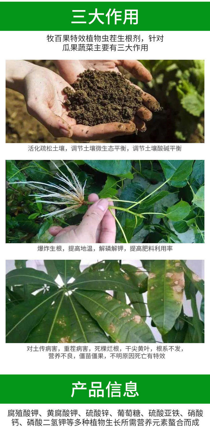 冲施肥 生根剂促进生根