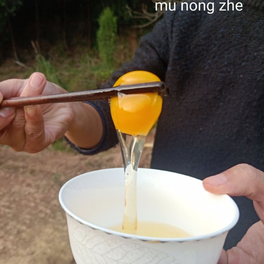 三台县纯散养剑门关土鸡土鸡蛋