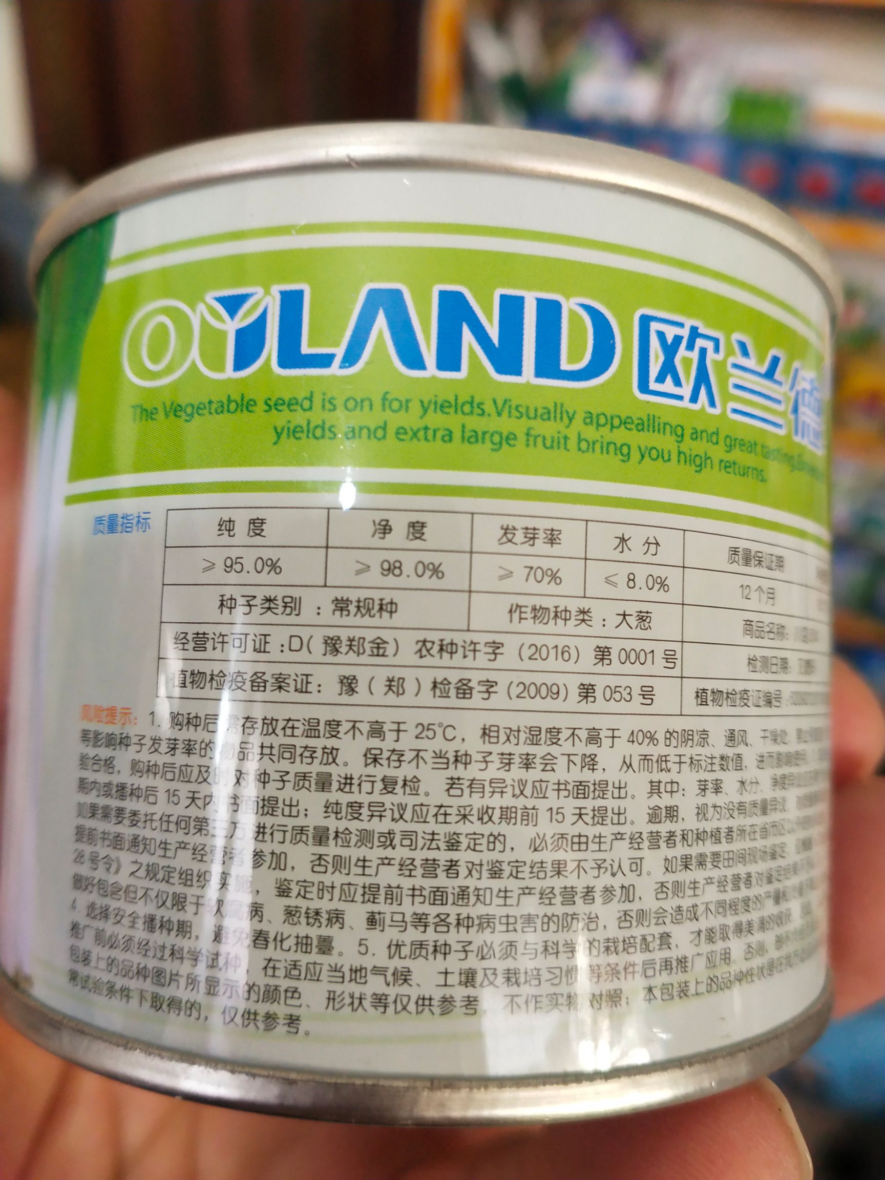 日钢葱种子  钢葱川岛504 葱白紧实茎叶粗壮不空心葱