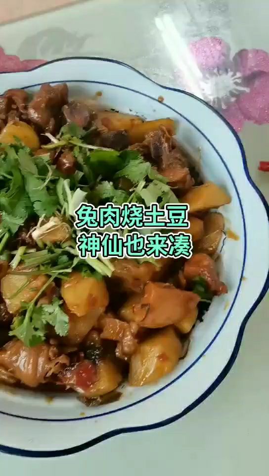 兔肉白条今年价格还行养殖肉兔有发展趋势