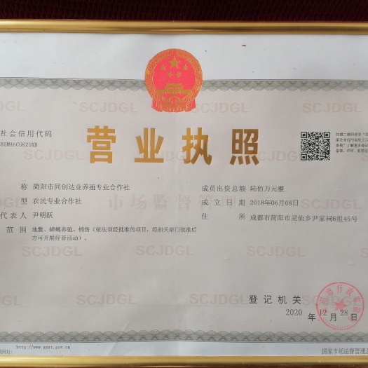成都美洲大蠊  土元种苗，质量保证，包补包换。