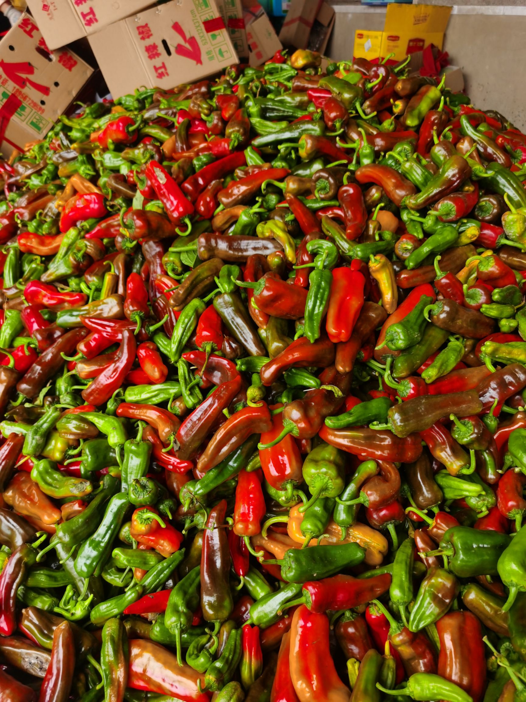 芜湖椒 今天货源充足   上车2.65    需要的速度