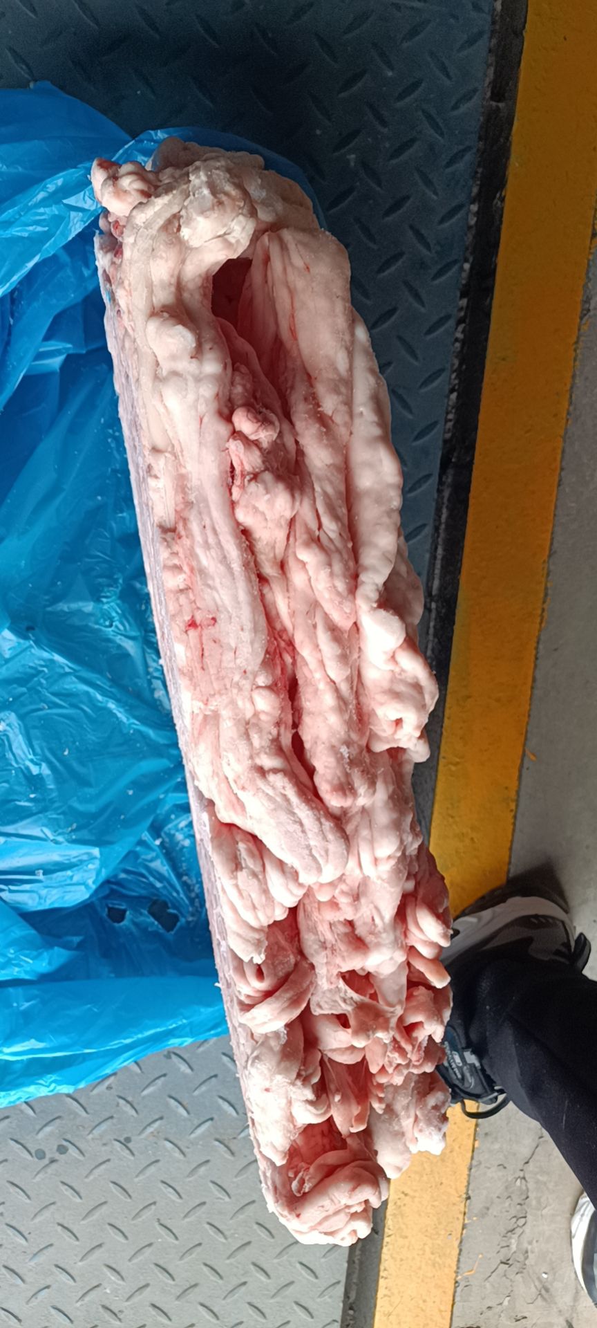 猪油 西班牙板油优惠出
