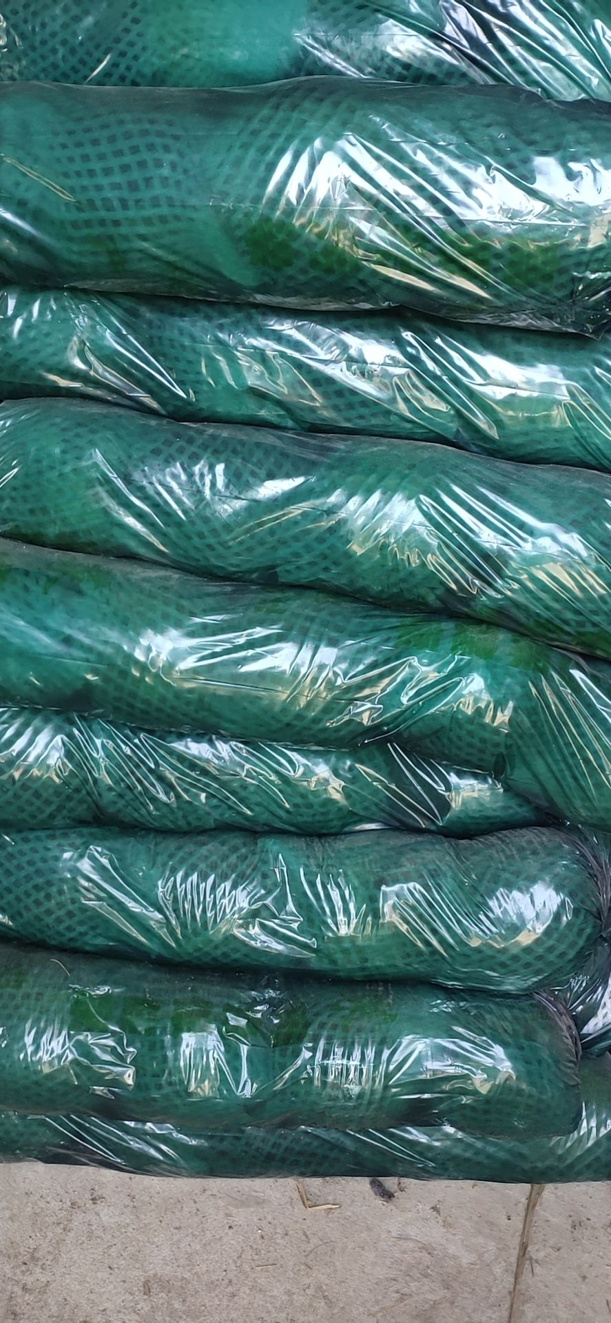 旺旺甘蓝 湖北小甘蓝大量供货中