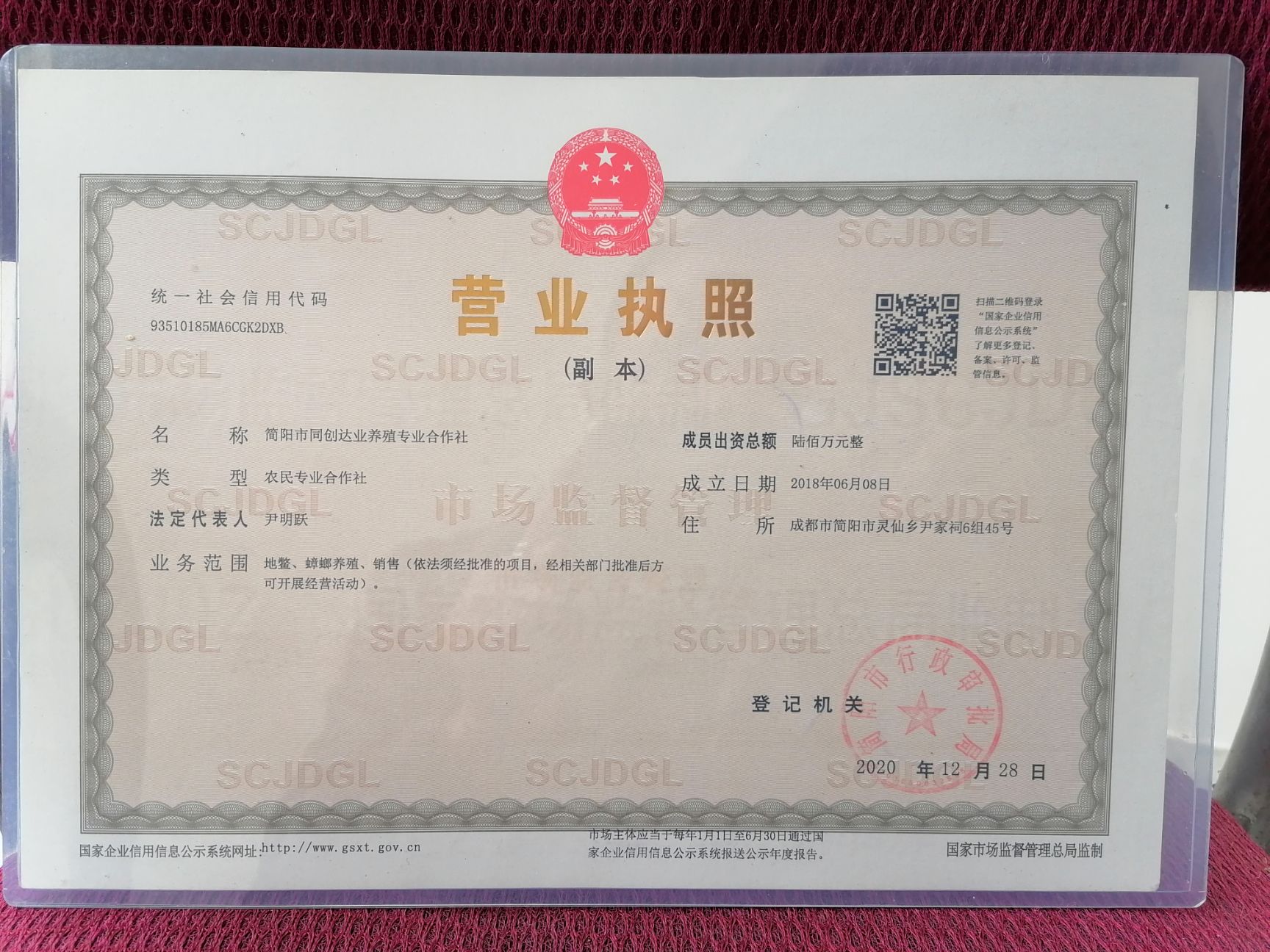 土元苗  质量保证，包补包换