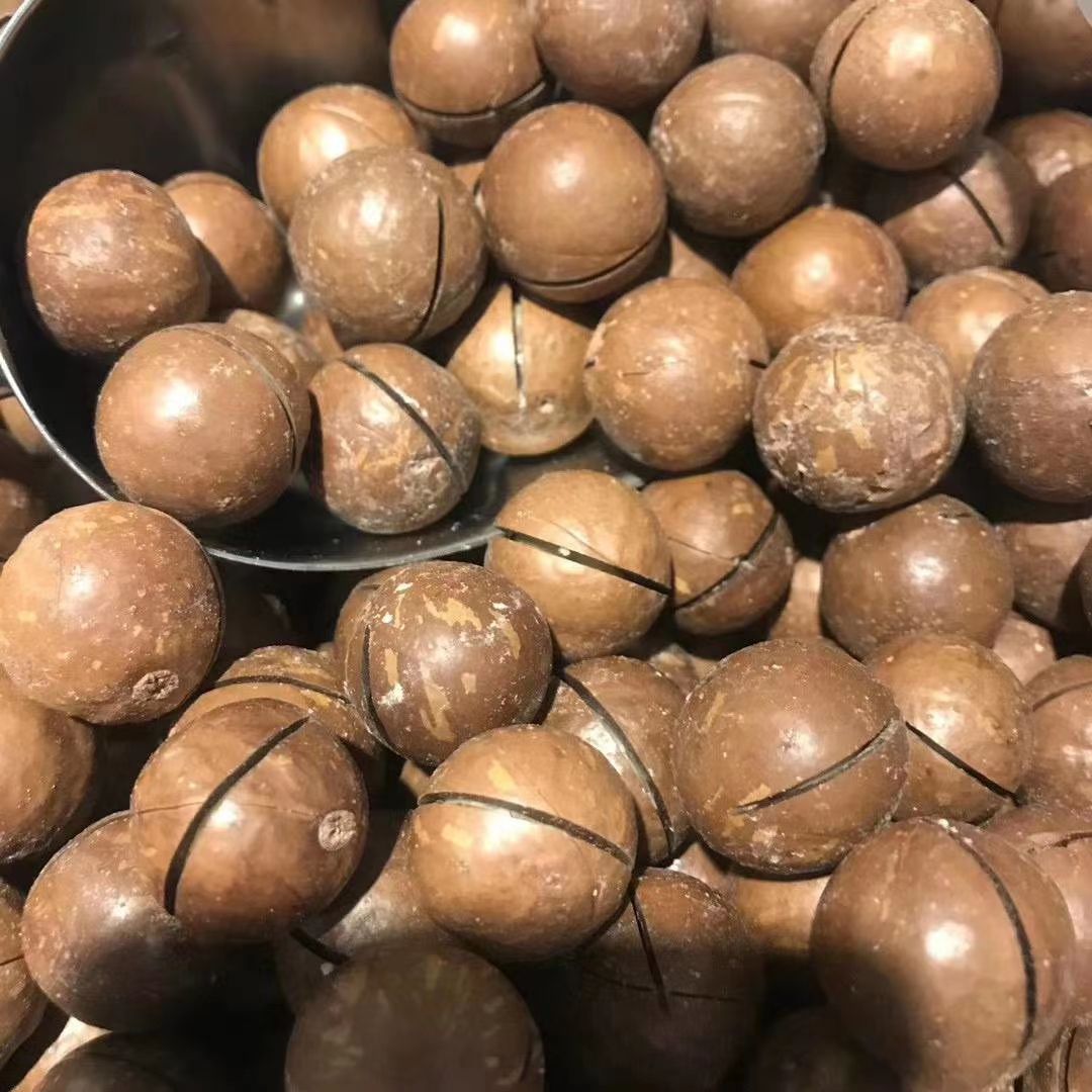 今年新货夏威夷果奶香味，罐装袋装散装，批发拿货，一件代发
