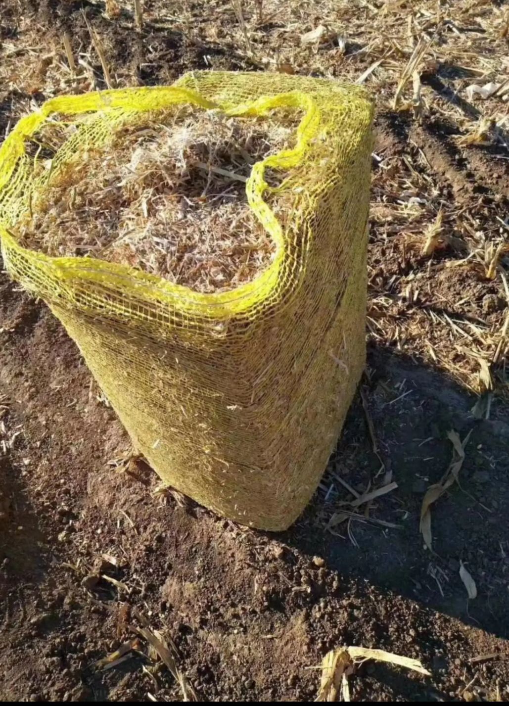 玉米秸秆，无土无膜，除尘柔丝，欢迎订购